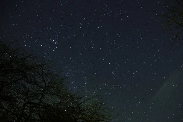 Wolken Passeren Maan Licht Door Een Forest Een Nachtelijke Hemel — Stockfoto