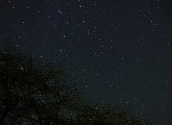 Nubes Pasando Luz Luna Por Encima Bosque Cielo Nocturno Lleno — Foto de Stock