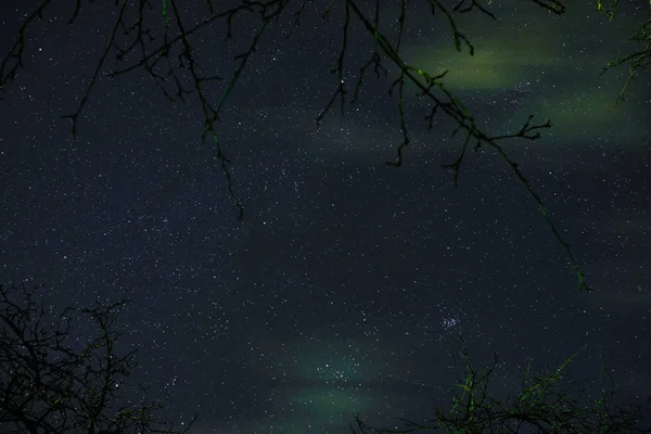 Облака Проходящие Лунном Свете Над Лесом Ночном Небе Полном Звезд — стоковое фото