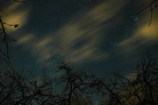 Облака Проходящие Лунном Свете Над Лесом Ночном Небе Полном Звезд — стоковое фото