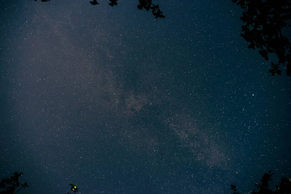Mavi Karanlık Gece Gökyüzünde Birçok Yıldız Alan Ağaçların Yukarıda Milkyway — Stok fotoğraf