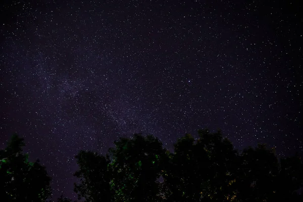 Cielo Azul Oscuro Nocturno Con Muchas Estrellas Sobre Campo Árboles —  Fotos de Stock