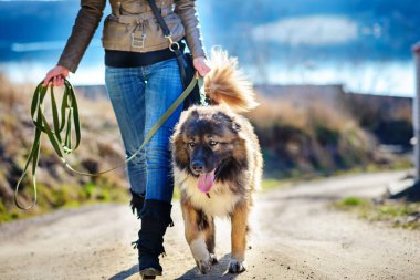 Kafkas çoban ile keyifli bahar günde oynayan genç kadın