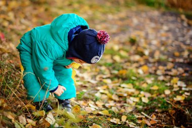 Mutlu sevimli çocuk parkta sonbahar yaprakları ile