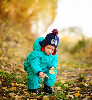 Mutlu sevimli çocuk parkta sonbahar yaprakları ile