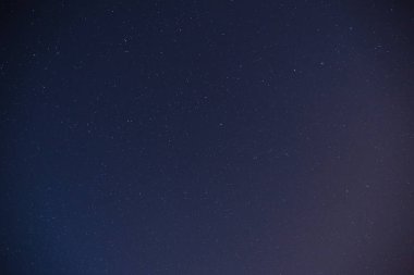 Güzel bir gece gökyüzü, Samanyolu ve ağaçlar