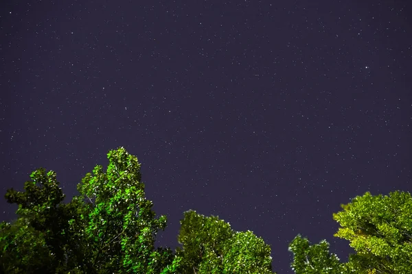 Cielo Azul Oscuro Nocturno Con Muchas Estrellas Sobre Campo Árboles —  Fotos de Stock