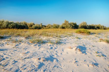 Panorama vahşi, ulusal deniz plaj rezerv Adası.