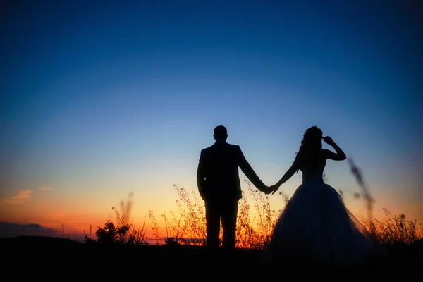 Silhouette Wedding Couple Field Bride Groom Together — Stock Photo, Image