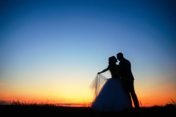 Silhueta Casal Casamento Campo Noiva Noivo Juntos — Fotografia de Stock