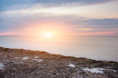 vahşi bir plaj ve güzel güneşli bir günde bir güvercin deniz suyu.