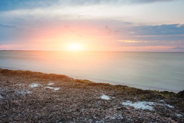 vahşi bir plaj ve güzel güneşli bir günde bir güvercin deniz suyu.