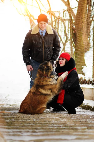 Happy Couple Dogs Winter Forest Lovely Moments Outdoor Holidays — Stock Photo, Image