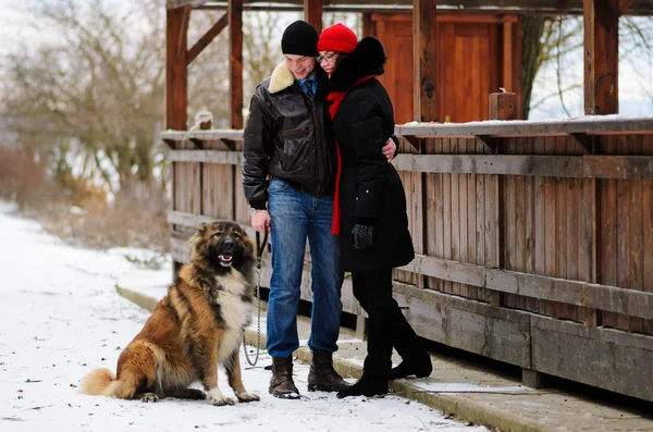 Happy Couple Dogs Winter Forest Lovely Moments Outdoor Holidays — Stock Photo, Image