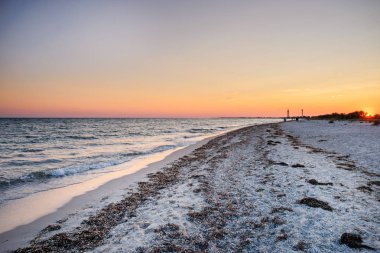 vahşi bir plaj ve güzel güneşli bir günde bir güvercin deniz suyu.