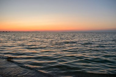 vahşi bir plaj ve güzel güneşli bir günde bir güvercin deniz suyu.