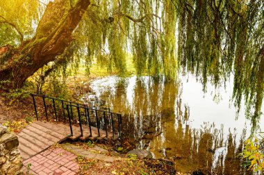 Sis sonbahar ormandaki nehir üzerinde.