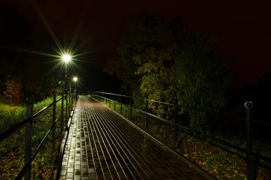 Park gece fener lambalar: bir sokak geçit görünümünü, ağaçlar ve karanlık gökyüzü bir yaz akşam arka plan olarak bir parkta yolu.