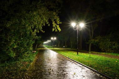 Park gece fener lambalar: bir sokak geçit görünümünü, ağaçlar ve karanlık gökyüzü bir yaz akşam arka plan olarak bir parkta yolu.