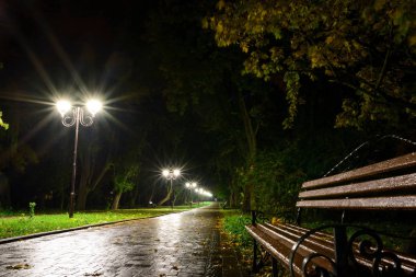 Park gece fener lambalar: bir sokak geçit görünümünü, ağaçlar ve karanlık gökyüzü bir yaz akşam arka plan olarak bir parkta yolu.
