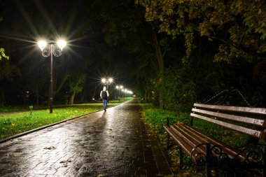 Park gece fener lambalar: bir sokak geçit görünümünü, ağaçlar ve karanlık gökyüzü bir yaz akşam arka plan olarak bir parkta yolu.