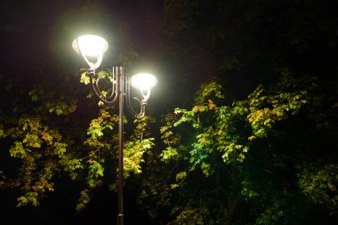 Park gece fener lambalar: bir sokak geçit görünümünü, ağaçlar ve karanlık gökyüzü bir yaz akşam arka plan olarak bir parkta yolu.