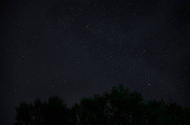 Güzel bir gece gökyüzü, Samanyolu ve ağaçlar