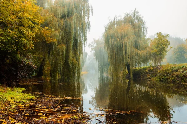 Ομίχλη Πάνω Από Τον Ποταμό Στο Δάσος Φθινόπωρο — Φωτογραφία Αρχείου