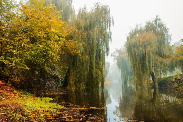 Ομίχλη Πάνω Από Τον Ποταμό Στο Δάσος Φθινόπωρο — Φωτογραφία Αρχείου