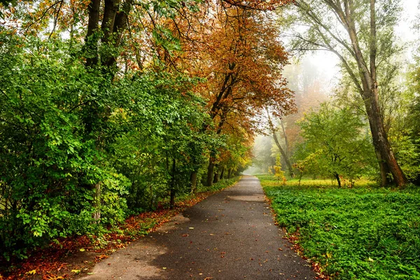 Camino Bosque Otoño Paisaje Otoñal Perspectiva —  Fotos de Stock