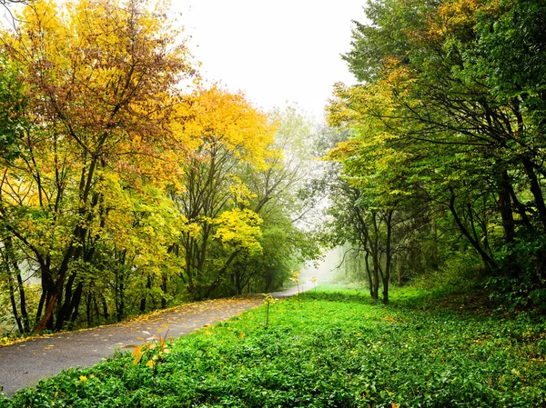 Δρόμος Φθινοπωρινό Δάσος Φθινοπωρινό Τοπίο Στην Προοπτική — Φωτογραφία Αρχείου