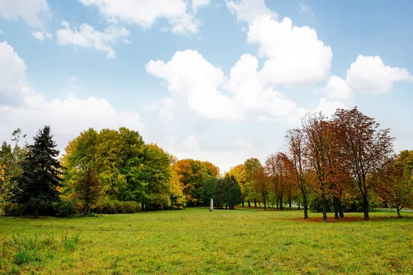 Paysage Ensoleillé Dans Parc Avec Des Arbres Automne — Photo