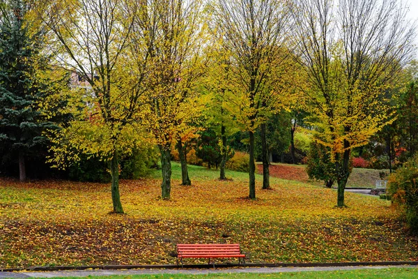 Paysage Ensoleillé Dans Parc Avec Des Arbres Automne — Photo