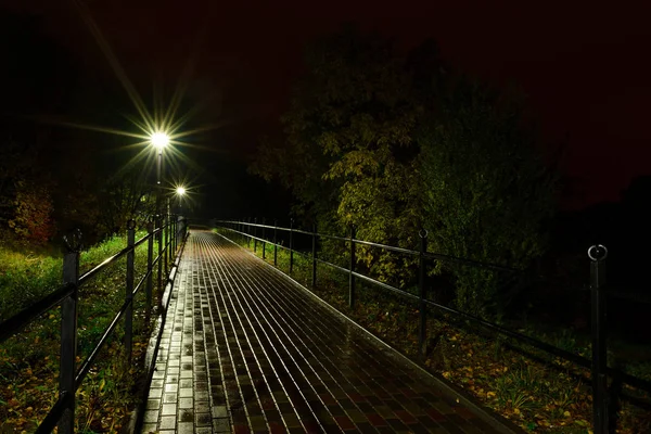 Park Gece Fener Lambalar Bir Sokak Geçit Görünümünü Ağaçlar Karanlık — Stok fotoğraf