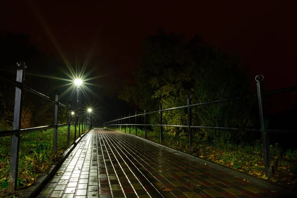 Park Gece Fener Lambalar Bir Sokak Geçit Görünümünü Ağaçlar Karanlık — Stok fotoğraf