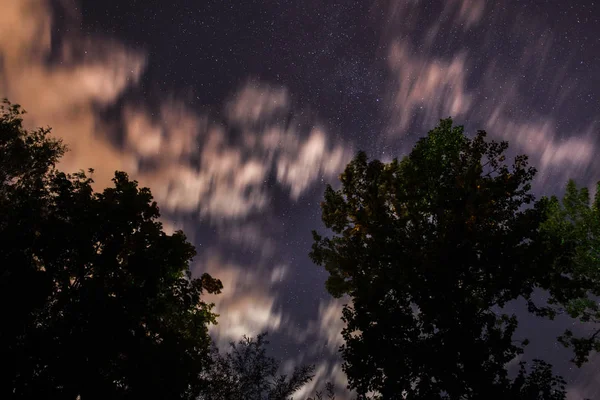 Sylwetka Lasu Nocnym Niebie — Zdjęcie stockowe