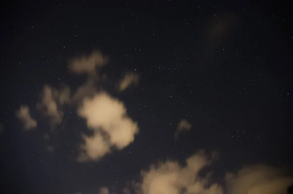 Beau Ciel Nocturne Voie Lactée Les Arbres — Photo