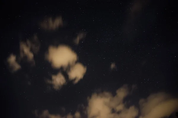 Beau Ciel Nocturne Voie Lactée Les Arbres — Photo