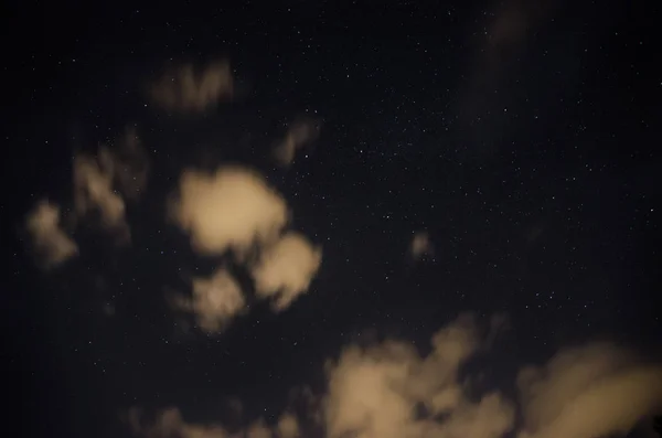 Hermoso Cielo Nocturno Vía Láctea Los Árboles — Foto de Stock