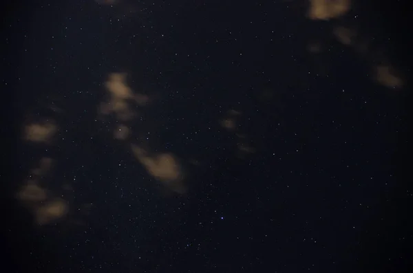 Bel Cielo Notturno Lattea Gli Alberi — Foto Stock
