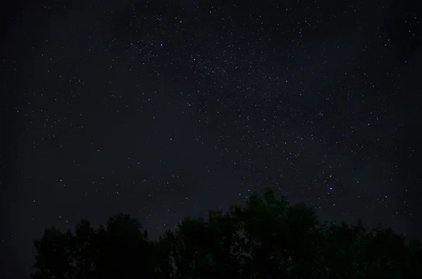 Güzel Bir Gece Gökyüzü Samanyolu Ağaçlar — Stok fotoğraf