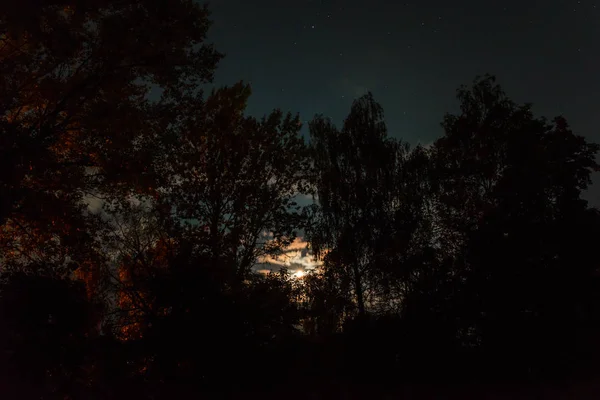 밤하늘에 실루엣 — 스톡 사진