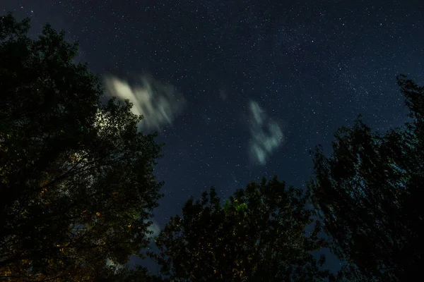 밤하늘에 실루엣 — 스톡 사진