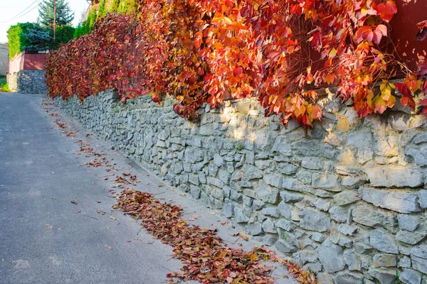 Vieux Mur Pierre Long Une Route Rurale Sur Laquelle Pend — Photo