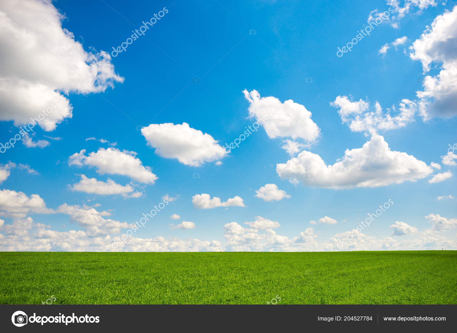 Green Grass Blue Sky White Clouds Background Stock Photo Image By C Cezar Ksv