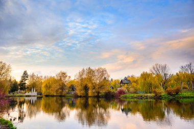 küçük gölet bir parkta c harika sonbahar günü