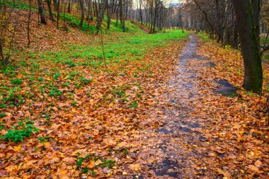 Yaya yol sonbahar park, güzel bir gün