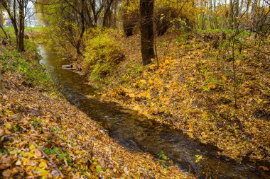 sonbahar ormandaki fazla harf küçük nehir