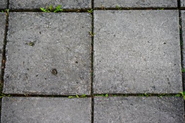 Sorunsuz Tileable doku, parke döşeme, arka plan