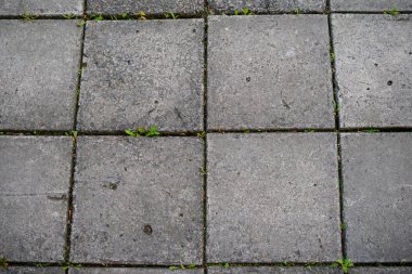 Sorunsuz Tileable doku, parke döşeme, arka plan